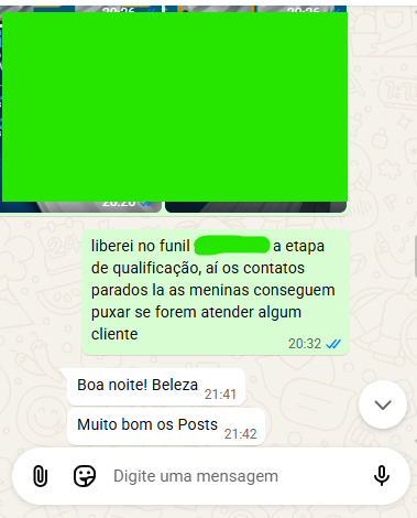 Print de conversa sobre a entrega dos posts