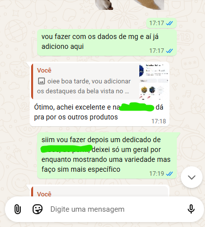 Print de conversa sobre a entrega do design
